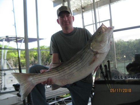 Nice Striped Bass